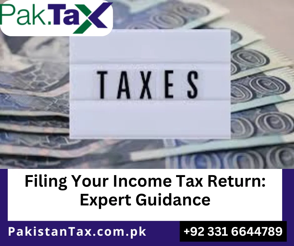 Income Tax Return Filing in Pakistan