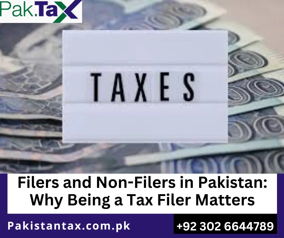 Tax filing process Pakistan
