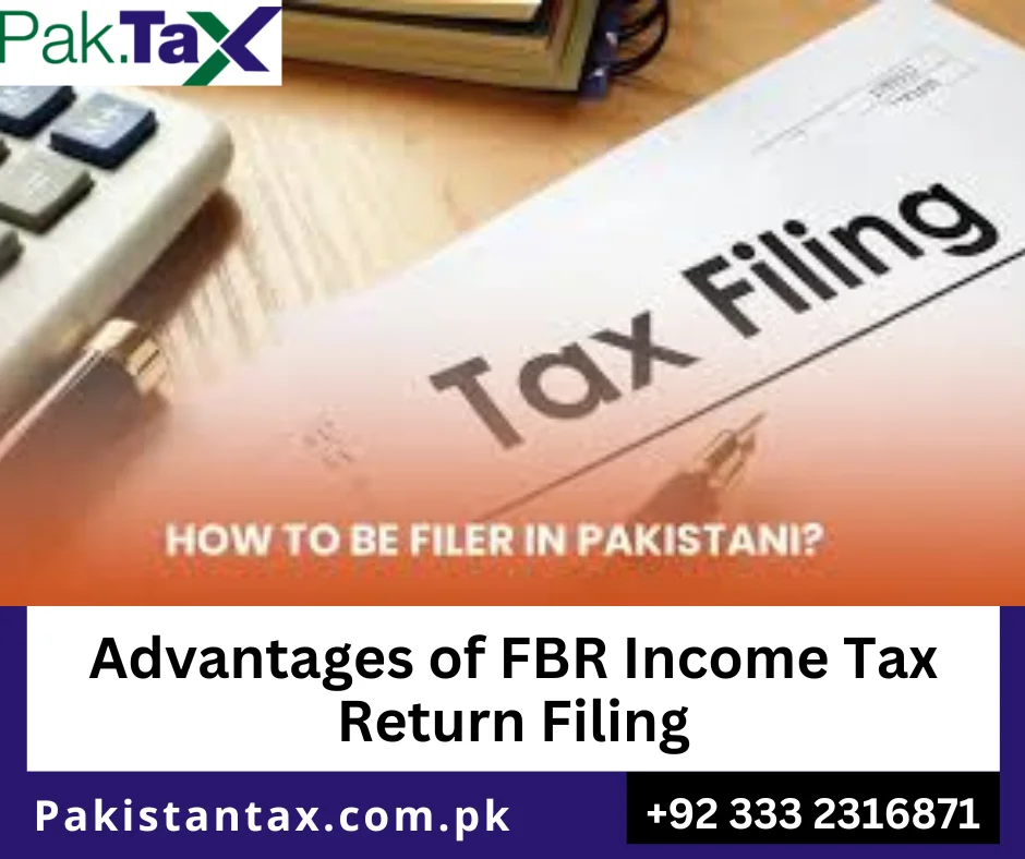 Pakistan tax return filing